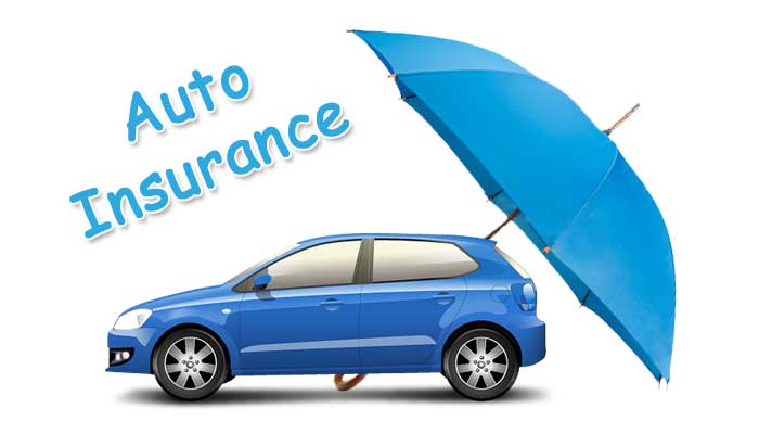 Auto Insurance Policy